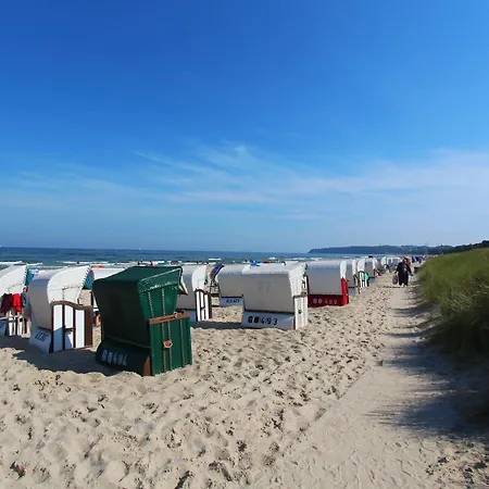 Ferienhus 02 Terrasse, Gratis Nutzung Vom Ahoi Erlebnisbad Und Sauna In Sellin *