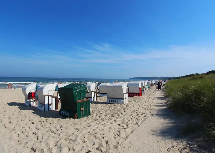 Ferienhus 02 Terrasse, Gratis Nutzung Vom Ahoi Erlebnisbad Und Sauna In Sellin *